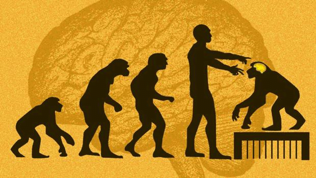 Científicos chinos ponen genes del cerebro humano en monos y se vuelven más listos
