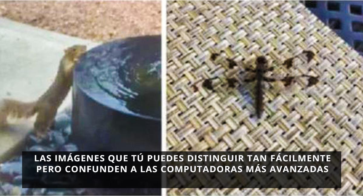 Las imágenes que tú puedes distinguir tan fácilmente pero confunden a las computadoras más avanzadas