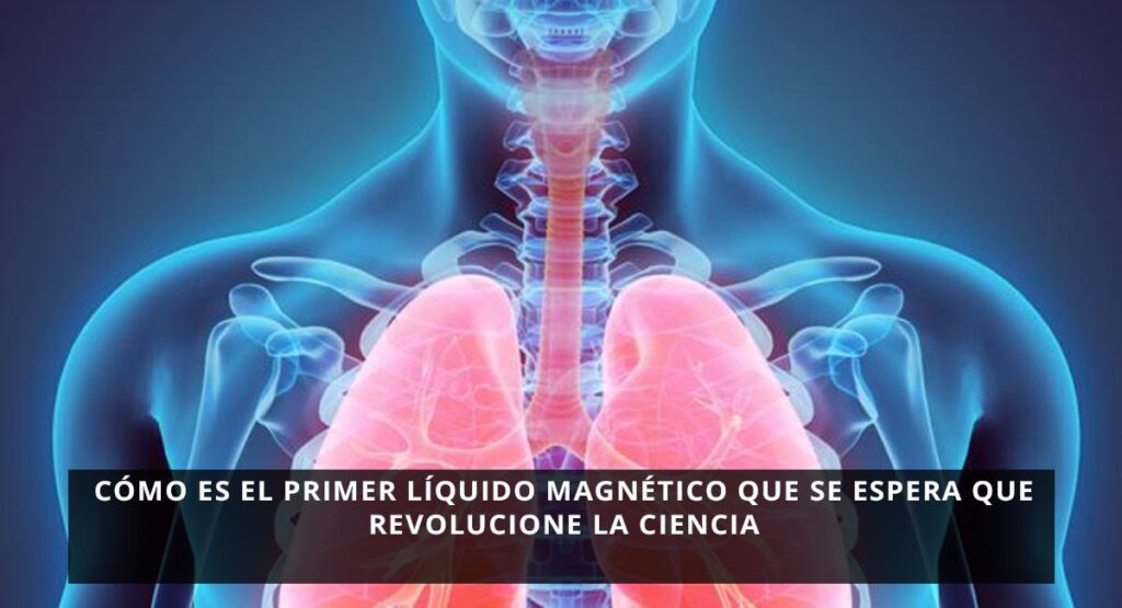 Cómo es el primer líquido magnético que se espera que revolucione la ciencia