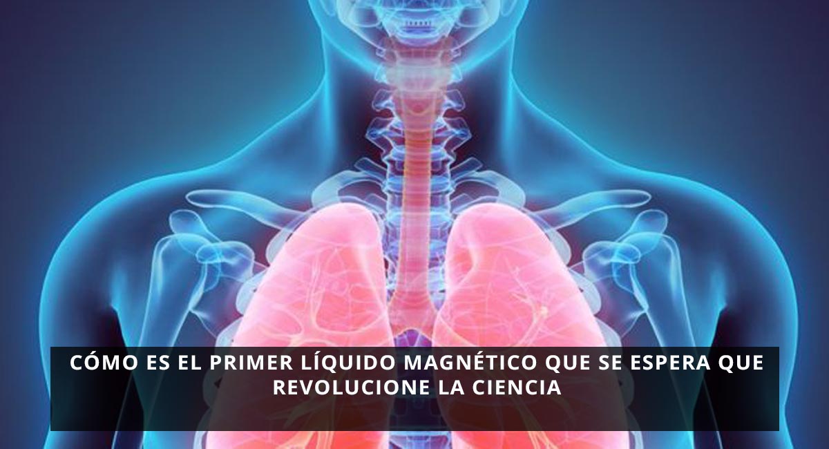 Cómo es el primer líquido magnético que se espera que revolucione la ciencia