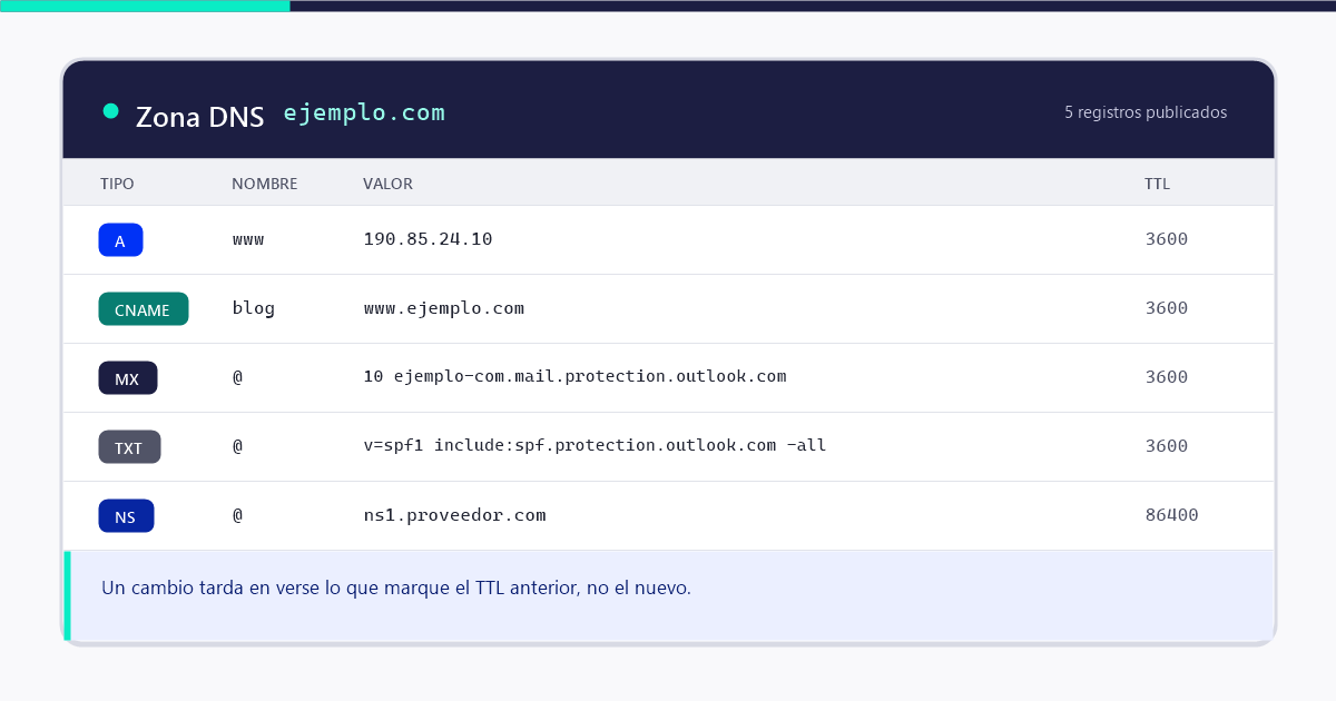 Panel de una zona DNS con los registros A, CNAME, MX, TXT y NS de un servidor DNS
